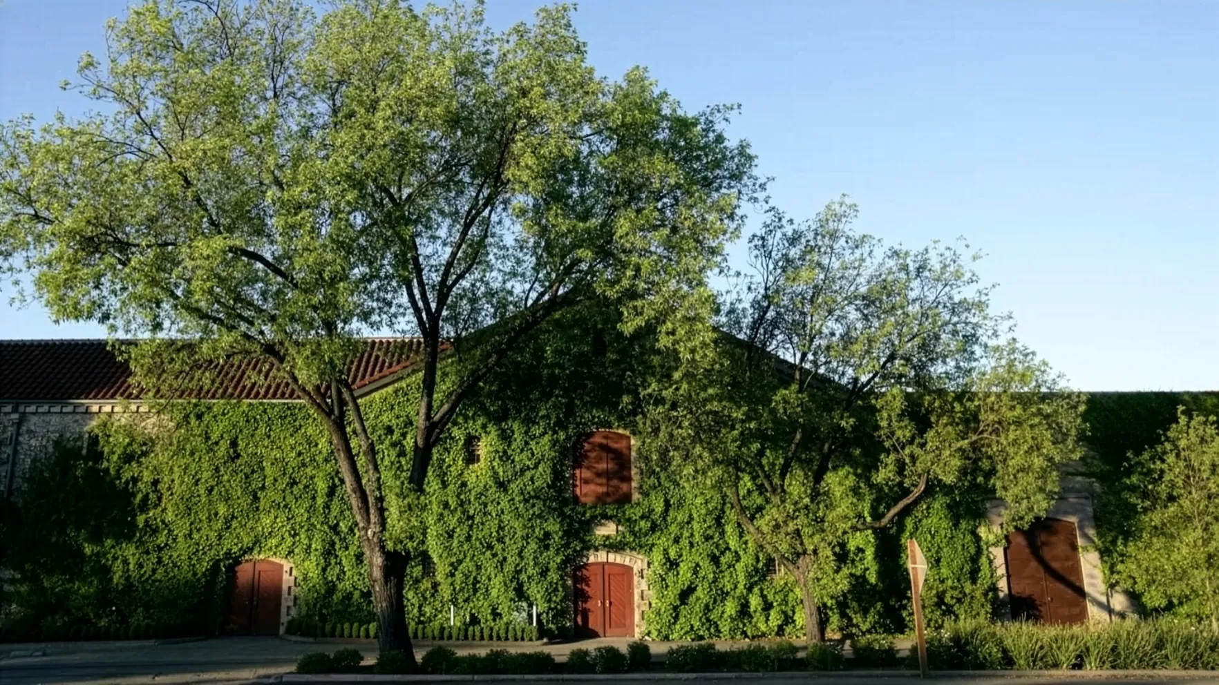 Beaulieu Vineyard — Historic and Hospitality Structural Engineering, Rutherford, CA