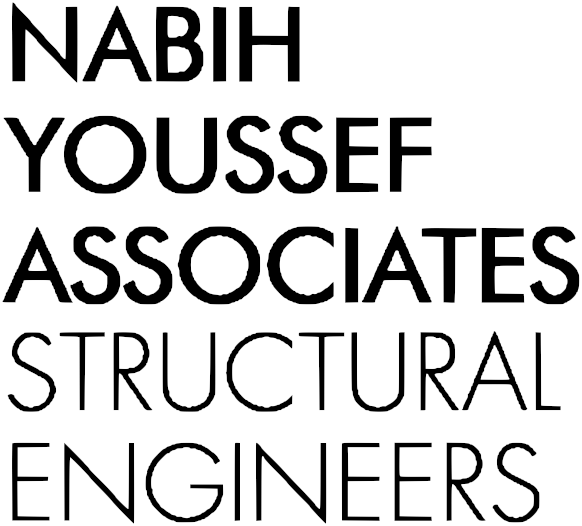 Nabih Youssef Associates logo
